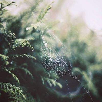 168极速赛车全天计划单期